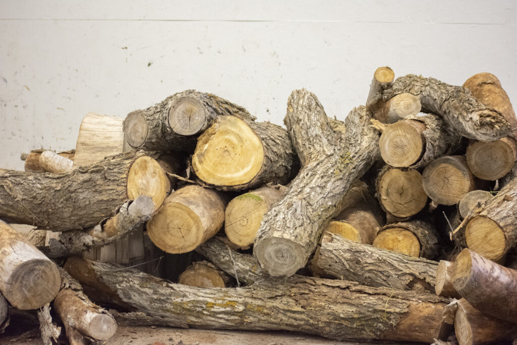 A stack of cut firewood logs piled against a plain wall.
