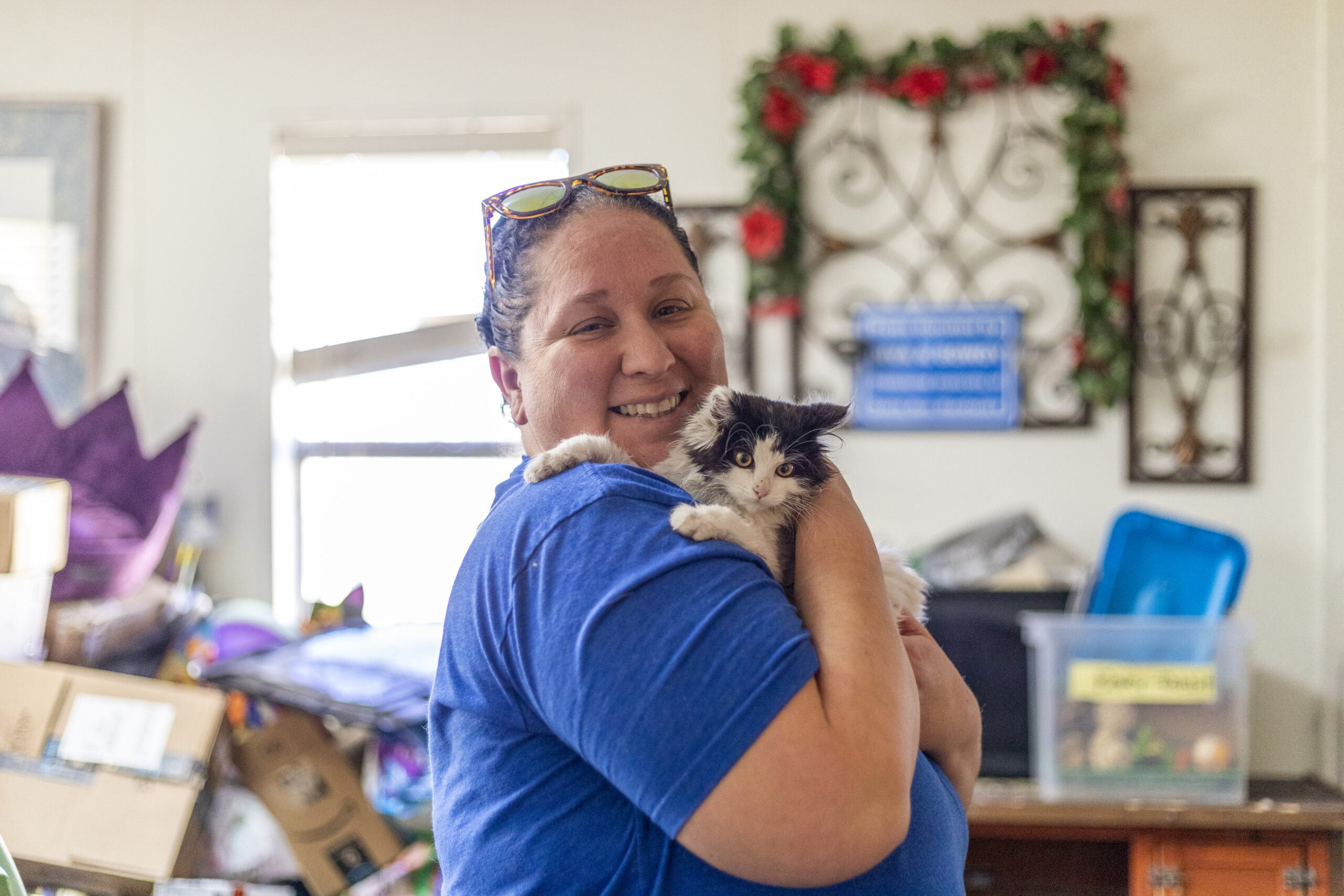 Strong Kitten Find It’s Home